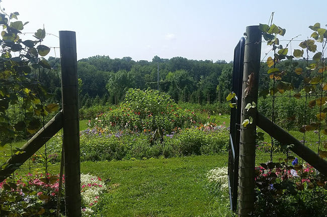 Hunterdon County, NJ Open Day - CANCELED